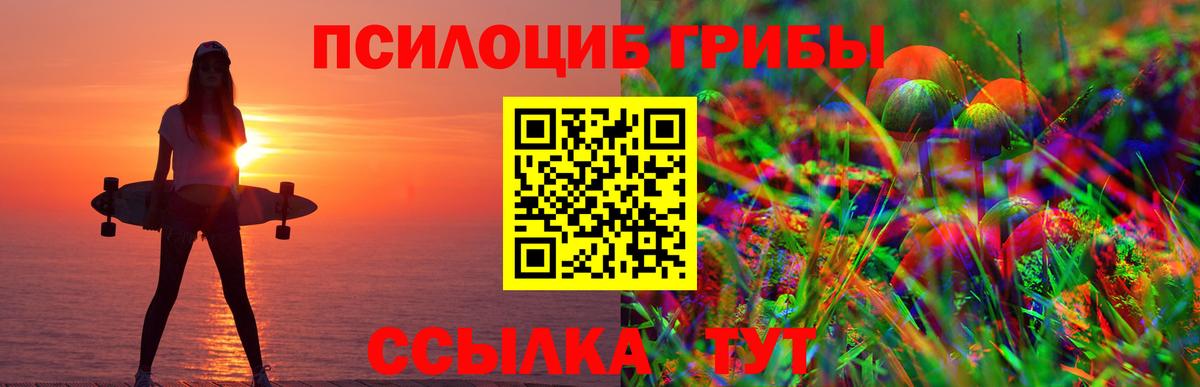 Электросталь  Галлюциногенные грибы Cubensis  Вход с VPN 